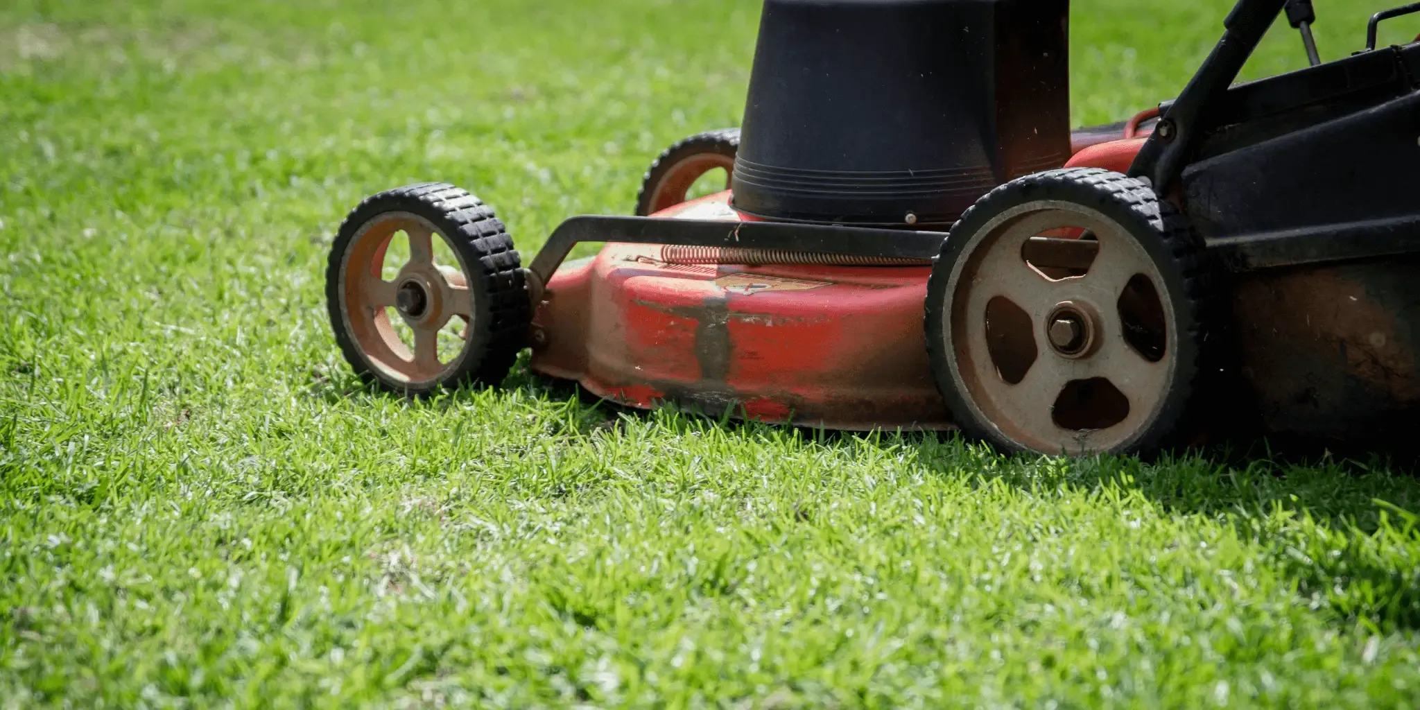 Walk-Behind Lawn Mowers Worth Every Minute in Your Yard