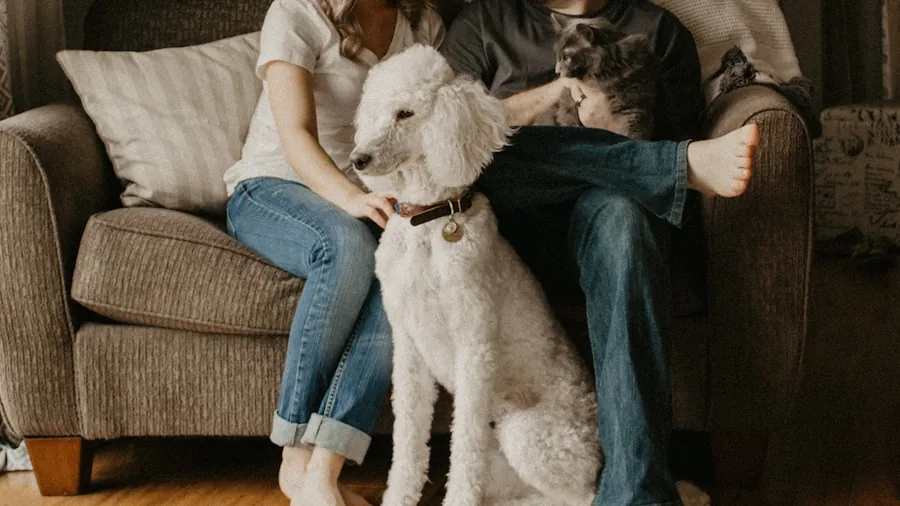 Family comparing different pet product options while shopping for affordable pet supplies