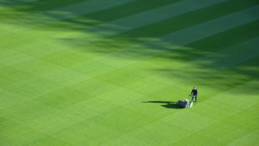 Person caring for lush green lawn with grass clippings visible during yard maintenance and mowing work