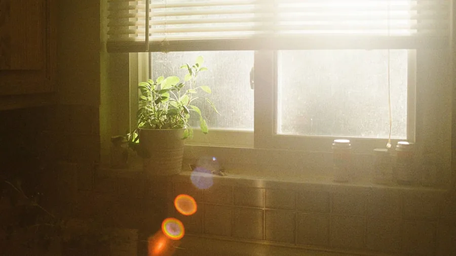 Person enjoying peaceful morning in modern kitchen with natural light streaming through windows