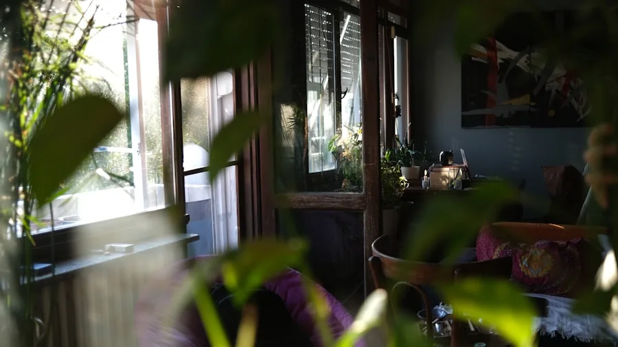 Sunlight streaming through window illuminating potted plants in a home interior
