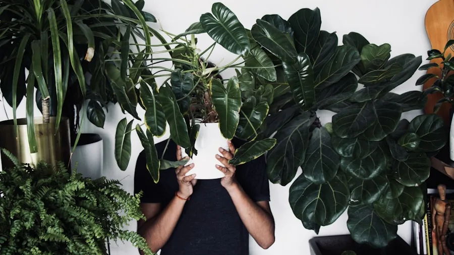 Young child exploring indoor plants in a bright, safe living room environment with non-toxic greenery